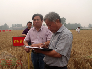 The soil loosening and root promoting agent was ac···