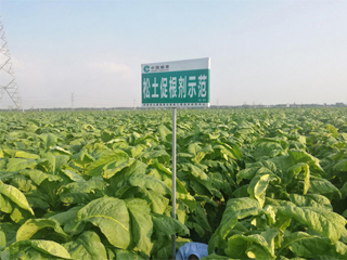 Comparison before and after use of soil loosening ···